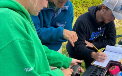 Intern Profile: Maeve Newton