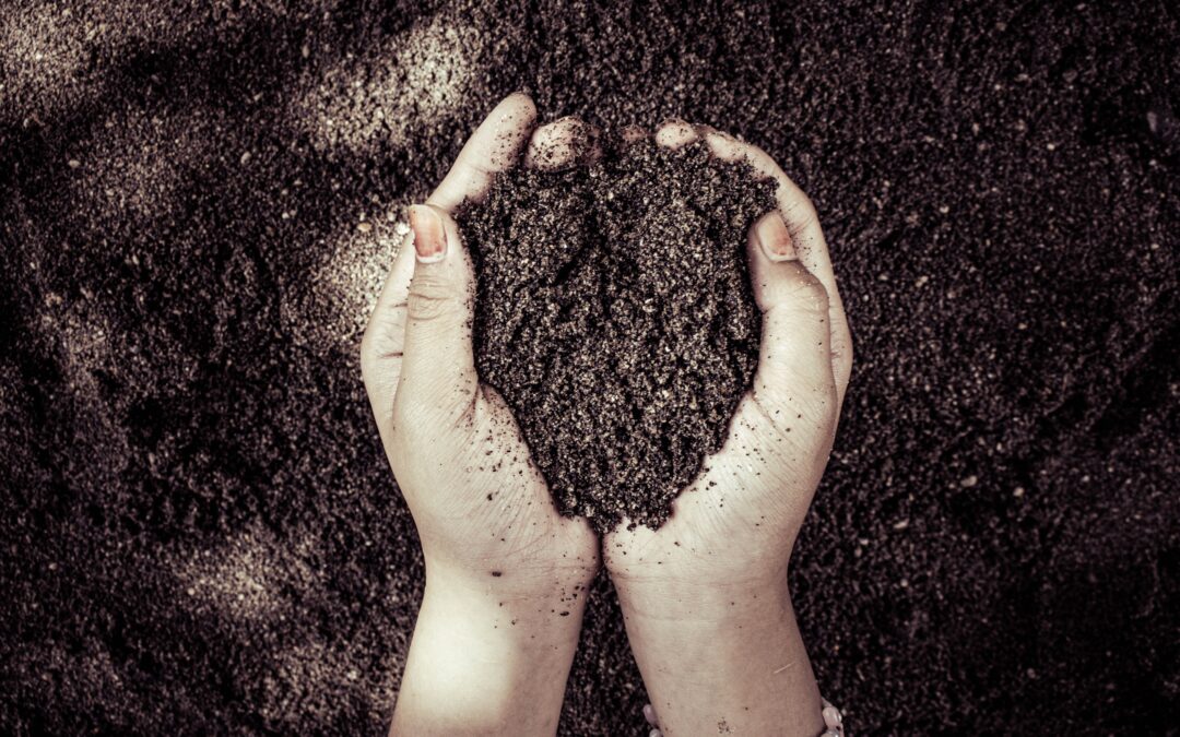 Try Composting for Free