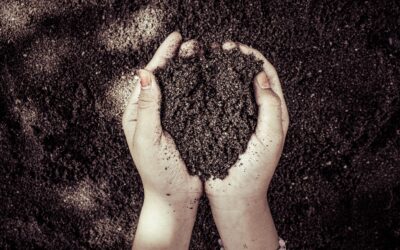 Try Composting for Free
